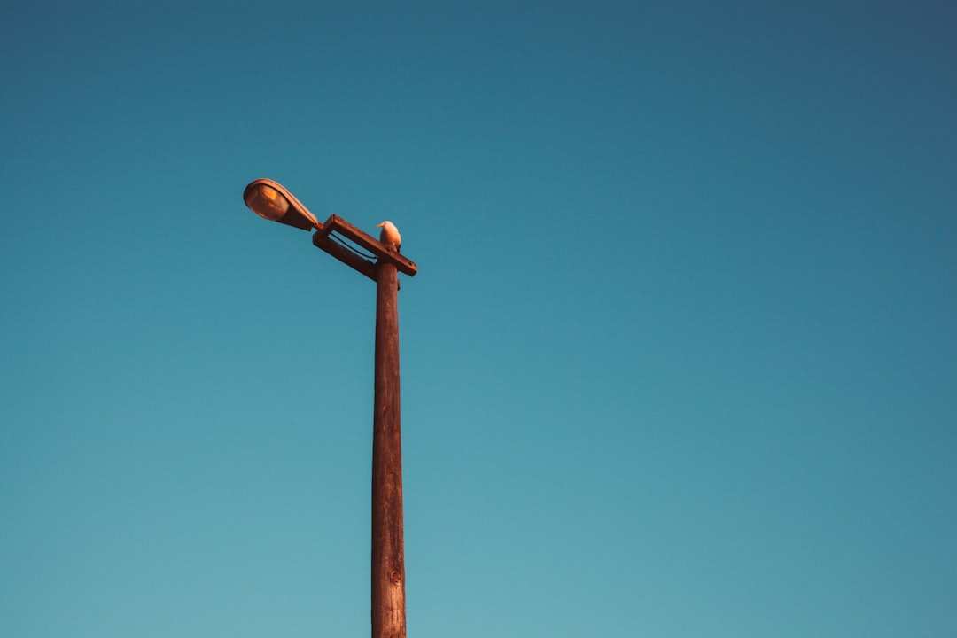 I'm a subcontractor in Birmingham – how do I secure retention money from a main contractor?