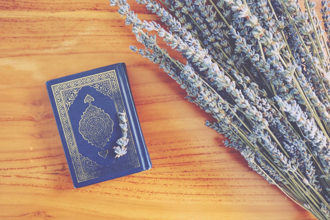 Judgment Enforcement: How to Ensure Compliance?